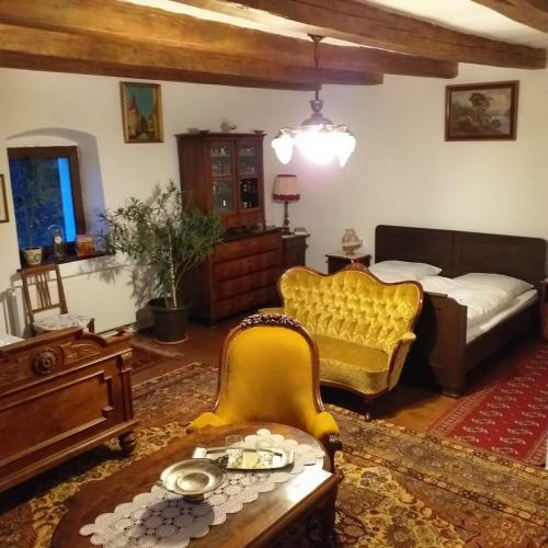 Hostal Pensiunea Monica-amadeus