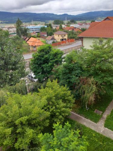 Oxigen Lux Apartment