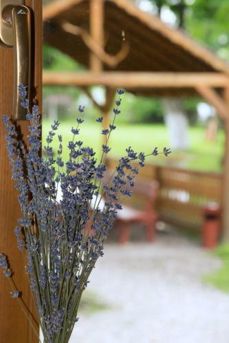 Hostal Fodor H�z