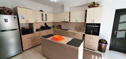 Hostal Bukovina Blue
