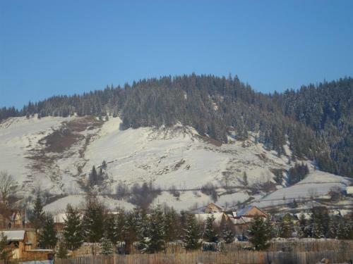 Lodge Casuta Din Gradina
