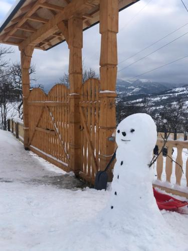 Lodge Cabana Hatere