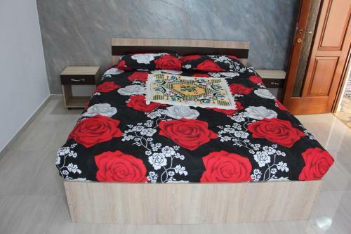 Hostal Casa Ivascu Moisei