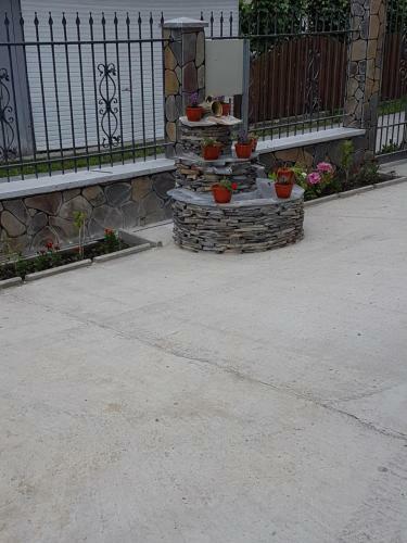 Hostal Casa Ivascu Moisei