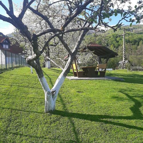 Hostal Pensiunea Denisa Stoian