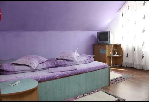 Hostal Casa Discret Moieciu