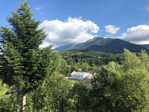 Casa Lui Andrei, Moisei - Maramures