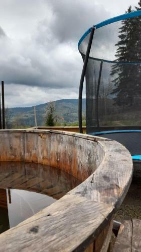 Lodge Cabana Ioana