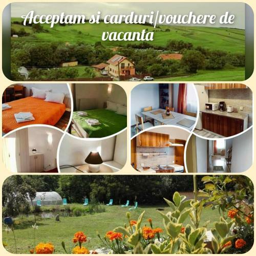 Hostal Pensiunea Casa Murani
