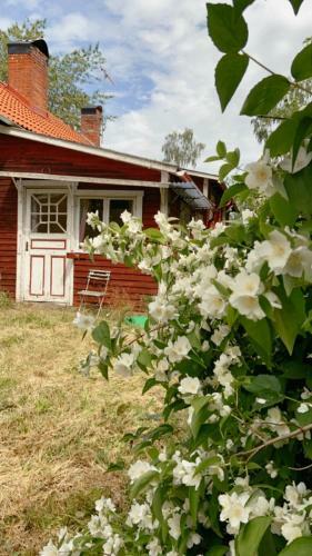 Farmhouse Marielund