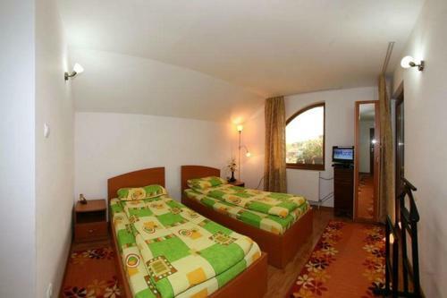 Hostal Casa Nicu Murighiol
