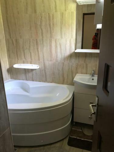Hostal Casa Nicu Murighiol