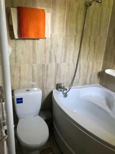 Hostal Casa Nicu Murighiol