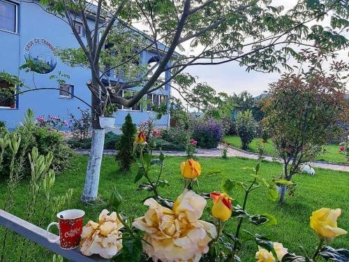Hostal Casa Cu Trandafiri Murighiol