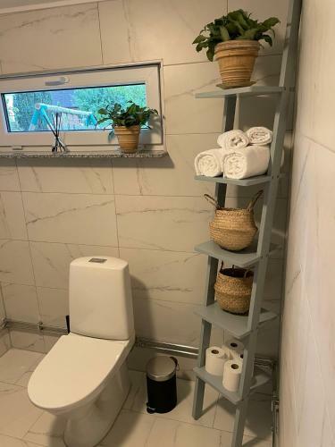 Cozy Studio Apartment With Garden Access