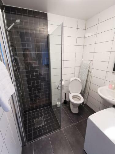 1 Room Apartment Centrally Located In Malm� - Skvadronsgatan 29