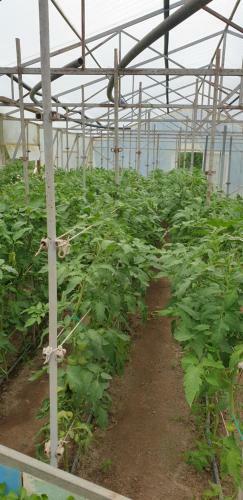 Agropensiunea Drumul Vinului