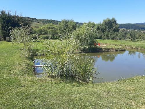 Kacs� Apartman