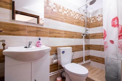 Hostal Pensiunea Day & Deny