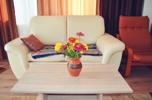 Hostal Pensiunea Ana