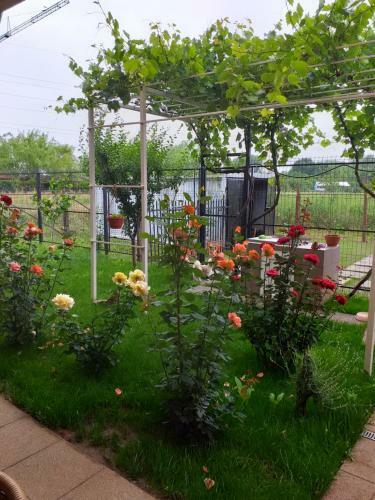 Hostal Vila Mercury Mamaia Nord