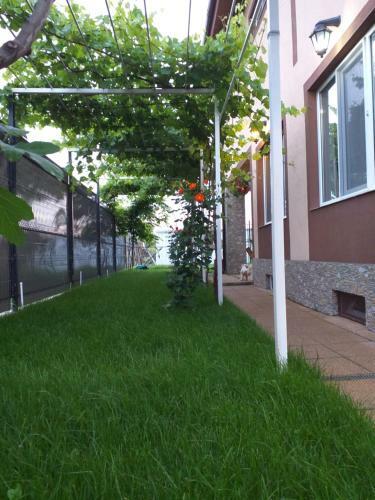 Hostal Vila Mercury Mamaia Nord