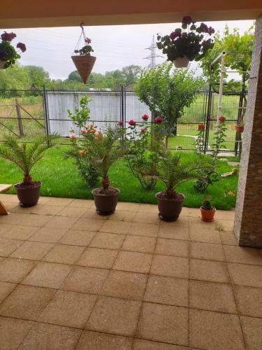 Hostal Vila Mercury Mamaia Nord