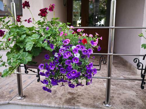 Apartament Nataly Mamaia Nord