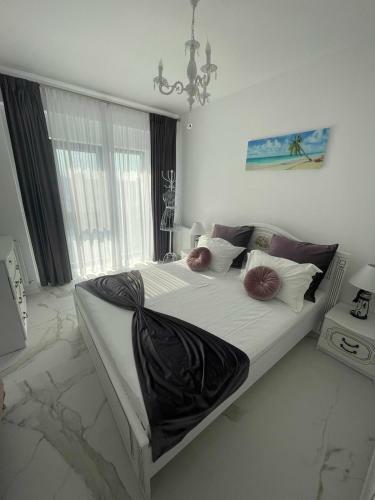 Gray Apartment Mamaia Nord