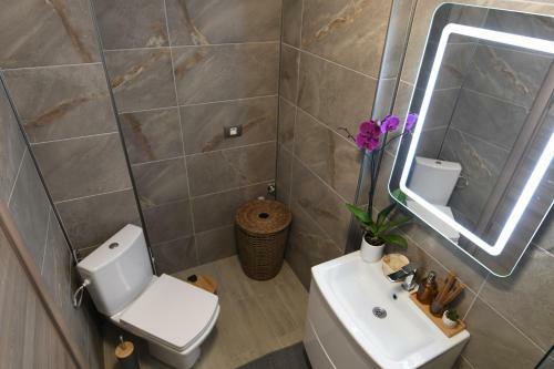 Alezzi Luxury Apartament