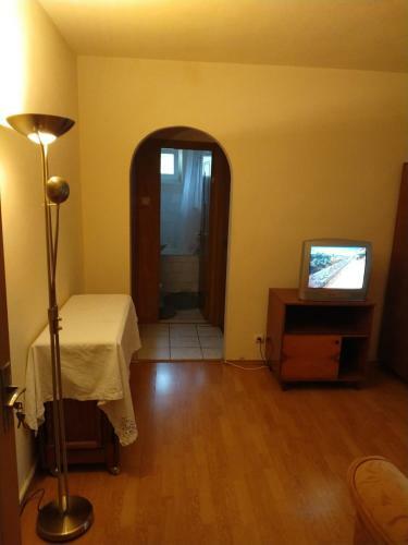 Apartament Centru Or??tie