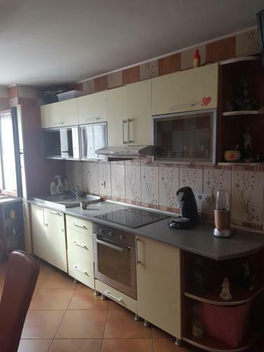 Apartament Orsova Faleza