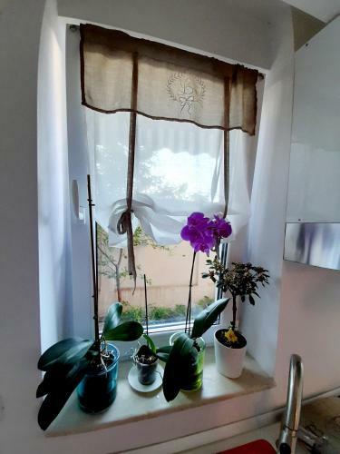Apartamento Iris Garden