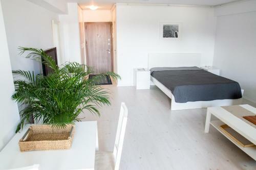 Apartamento Airport Residence - 5 Mins From Airport
