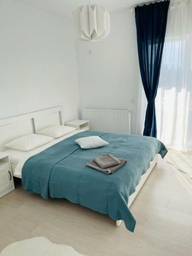 Villa Vila de Lux In Otopeni Cu Living Si 3 Dormitoare