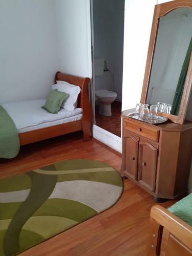 Hostal Pensiunea Casa Brancusi