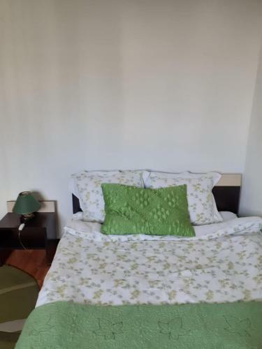 Hostal Pensiunea Casa Brancusi