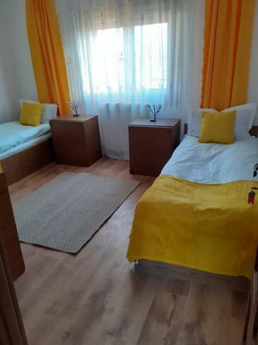 Hostal Pensiunea Casa Brancusi