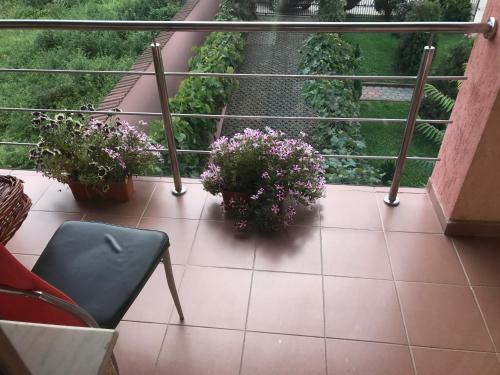 Vila La Izvor