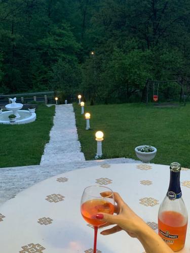 Hostal Pensiunea Medeea