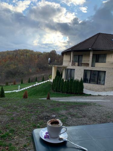 Hostal Pensiunea Medeea