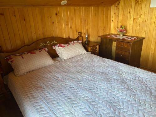 Lodge Cabana Cu Mesteceni