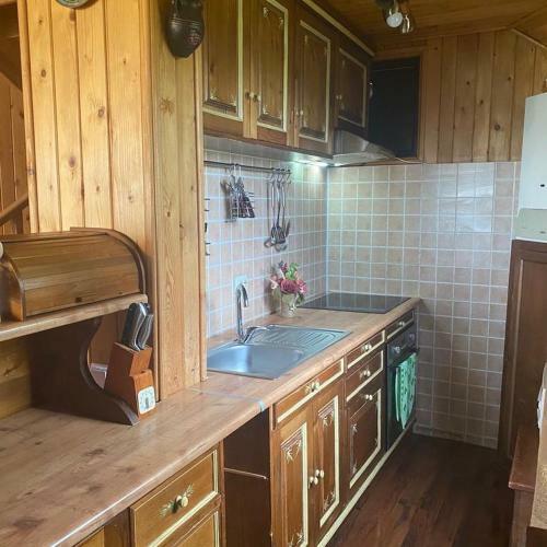 Lodge Cabana Cu Mesteceni
