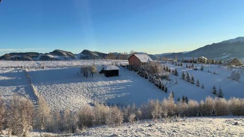 Lodge Cabana Cu Mesteceni