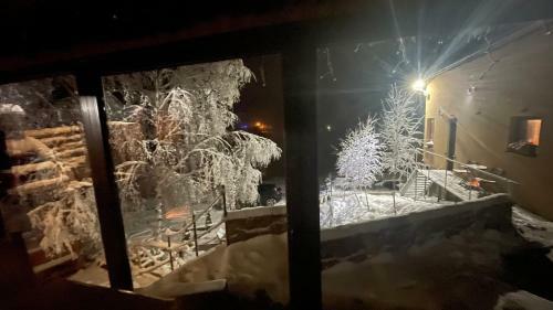 Lodge Cabana Cu Mesteceni