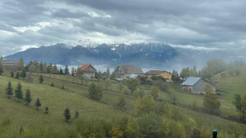Lodge Cabana Cu Mesteceni