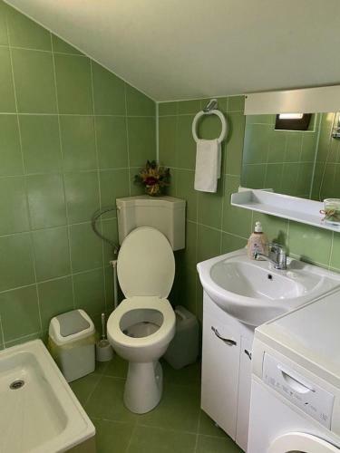 Lodge Cabana Cu Mesteceni