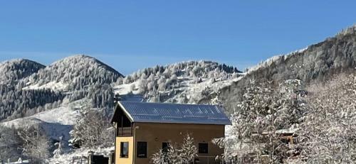 Lodge Cabana Cu Mesteceni