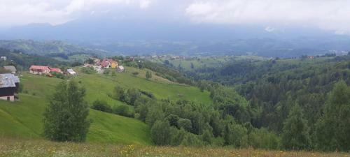 Lodge Transylvanian Views