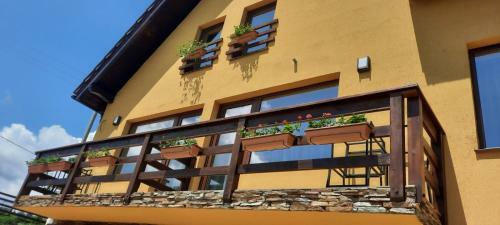 Lodge Transylvanian Views